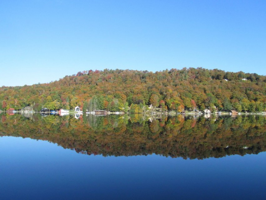 Early Fall