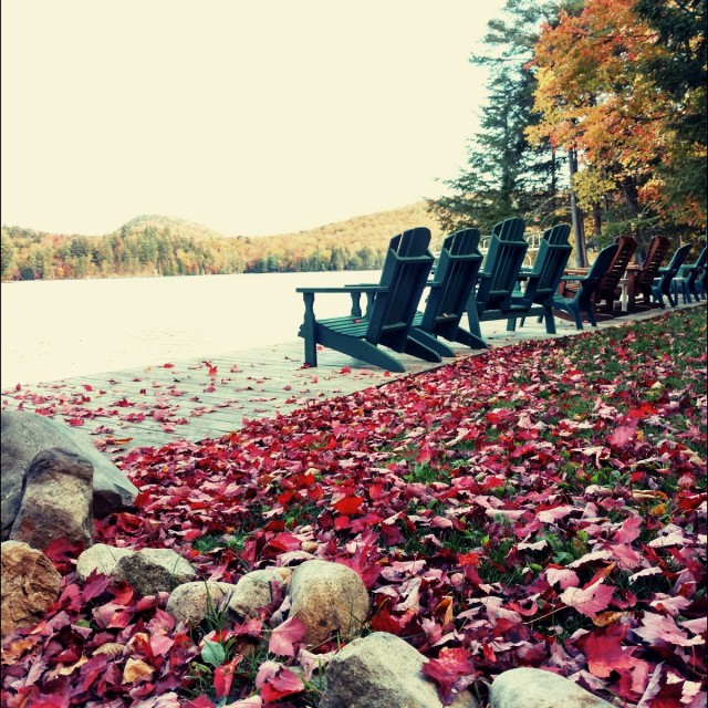 Lake side comfort, listen to Loons!! Or fish off dock!