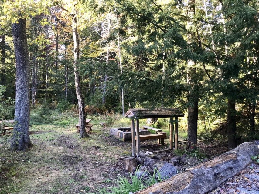 Sideyard and Fire Pit