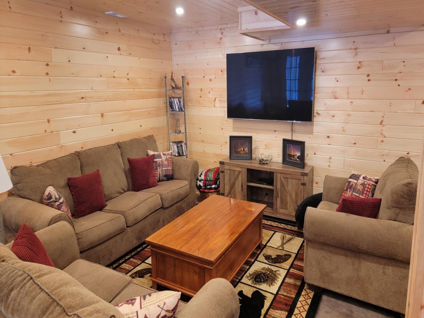 TV area in finished basement