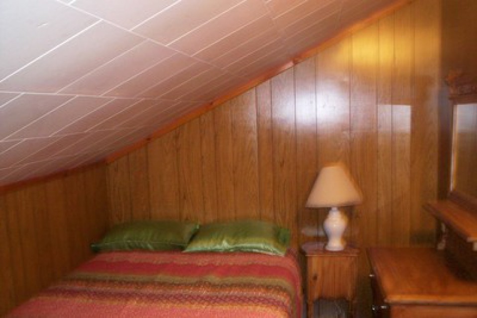 Bedroom #2 with full bed and twin bed 