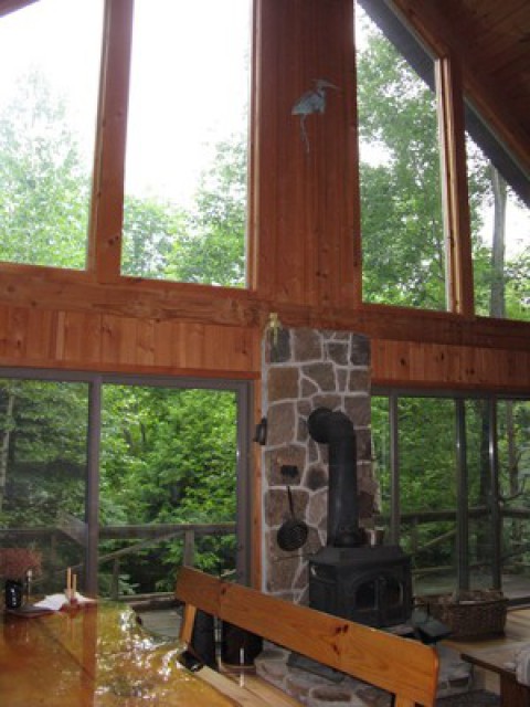 Living/dining room