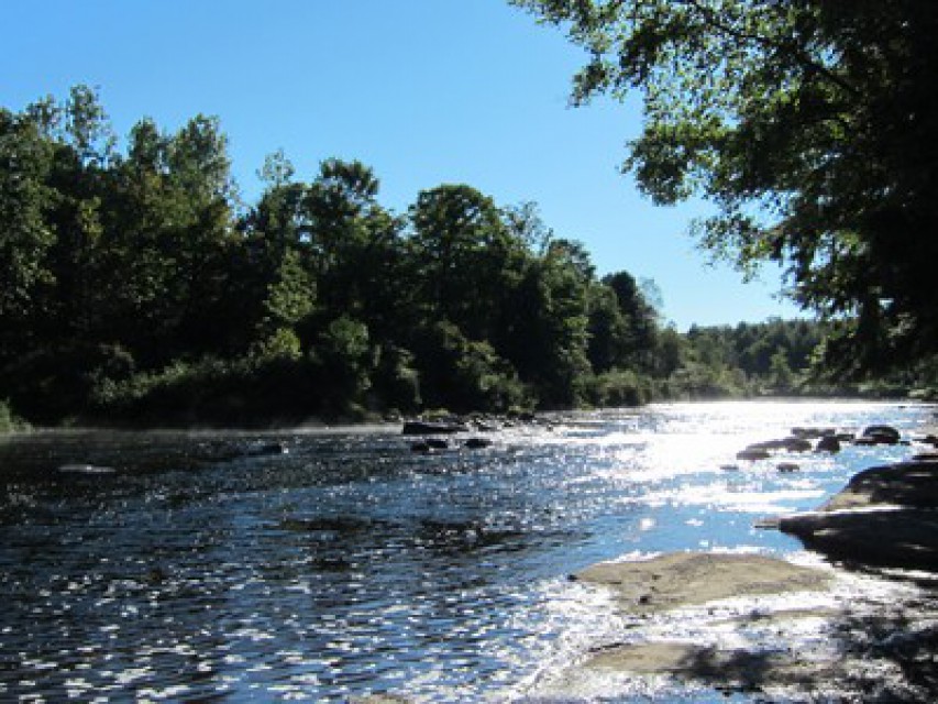 View upstream from river bank