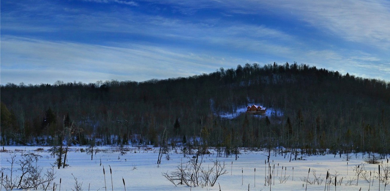 Winter view from marsh 