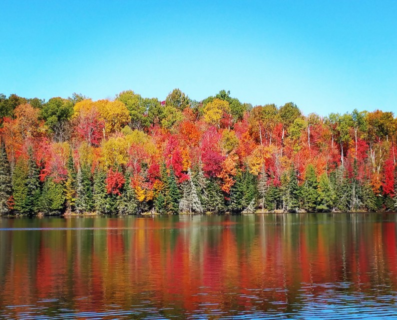 LAKE ABANAKEE IN AUTUMN