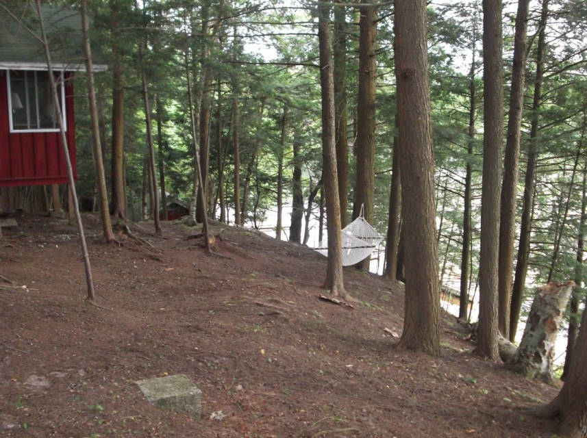 Path to beach: in front of cabin, then behind boathouse