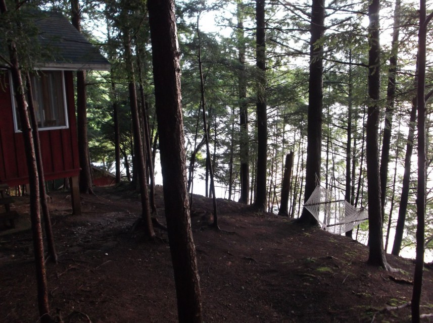Top of bank; boathouse & dock below, thru trees