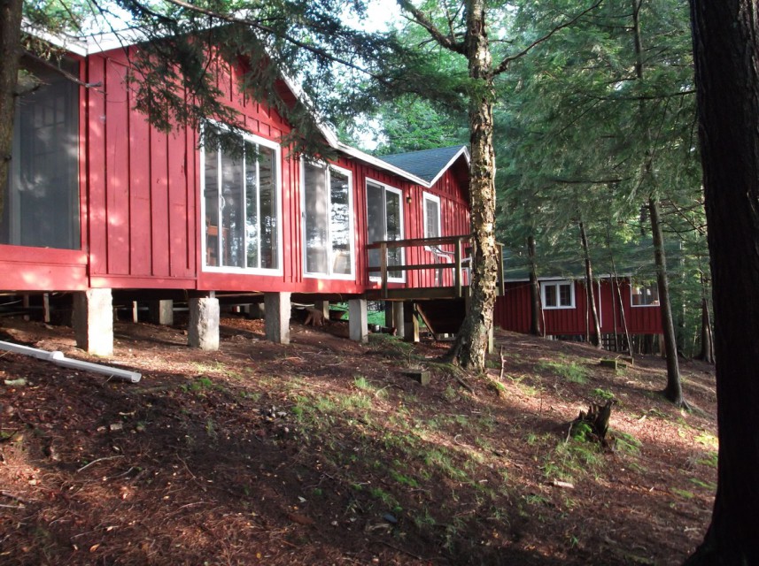 Lake side of cabin, top of bank
