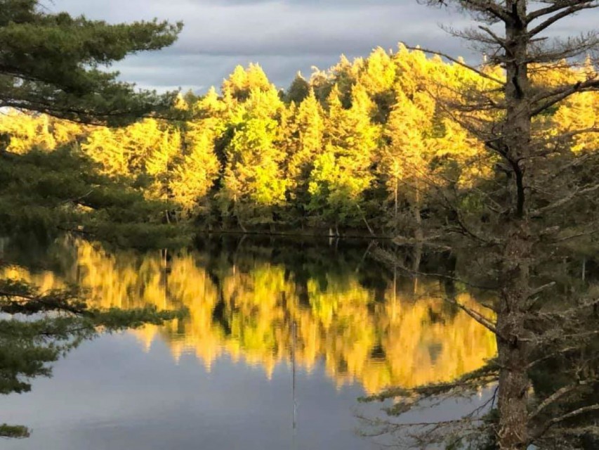 Fall on Lake Clear