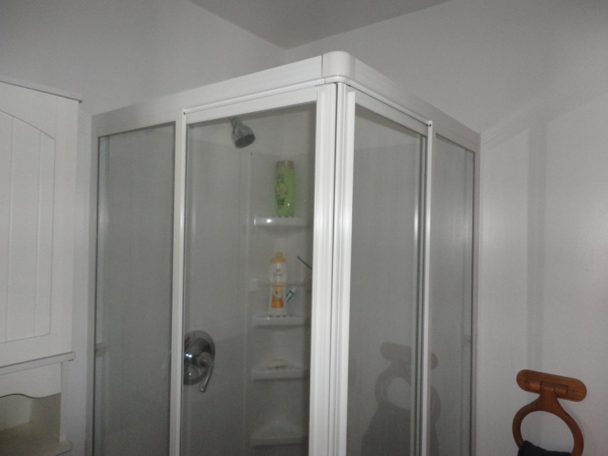 Glass shower in main bathroom