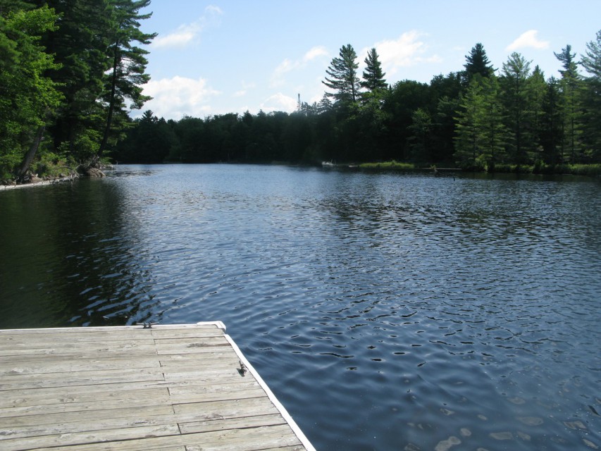 View from the Public Dock