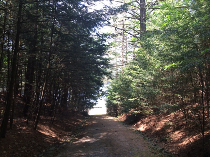 Pathway that leads to lake, there is also car access