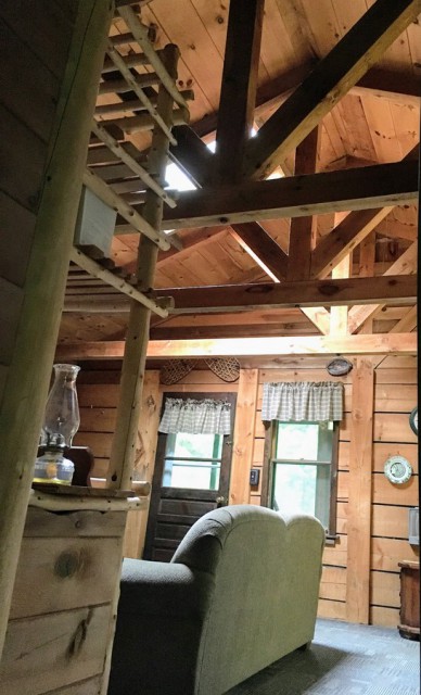 Secluded Cabin W Private Lake Rights Indian Lake Vr8708
