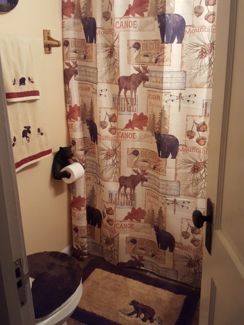 downstairs bathroom with tub