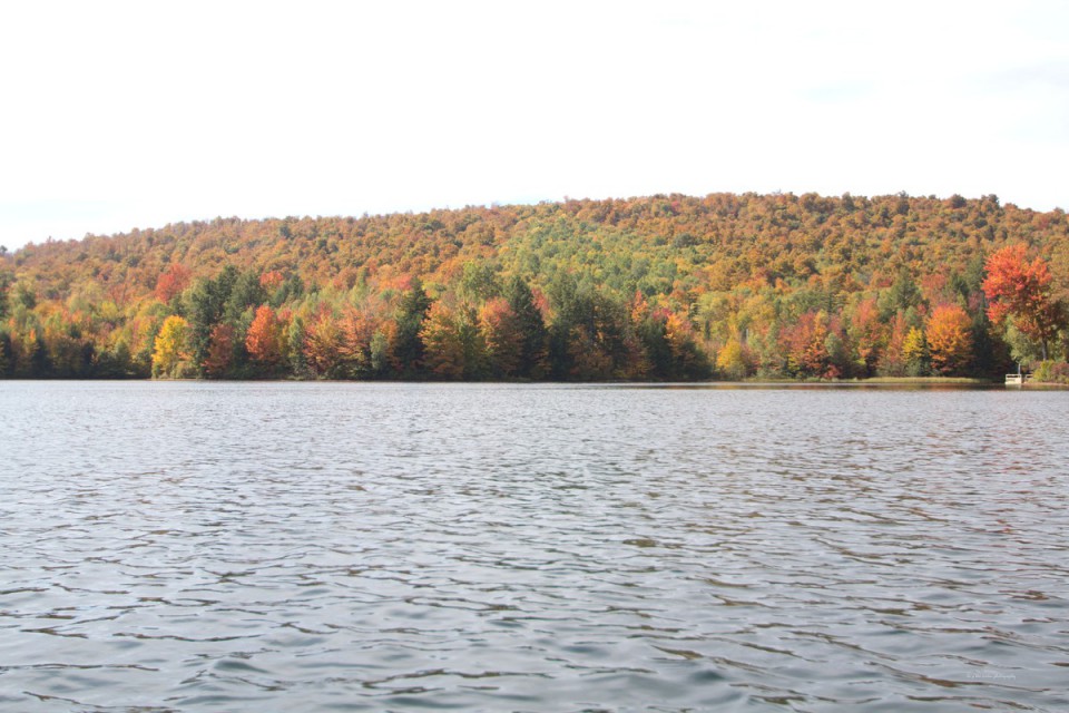Fall peak foliage!