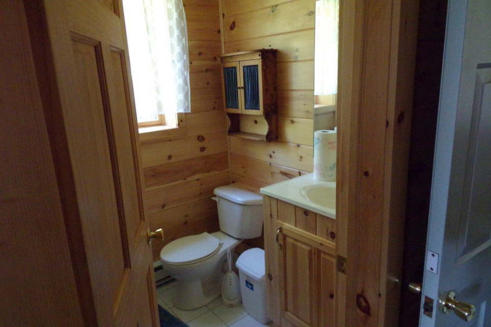 downstairs bathroom w toilet sink and shower