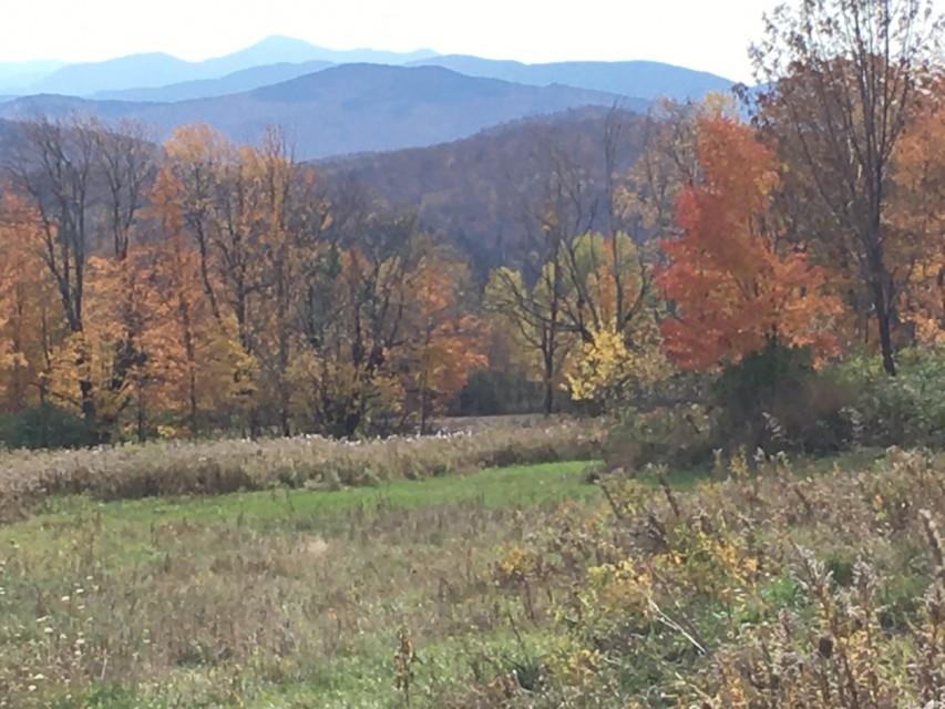 One of our favorite local views with fall colors