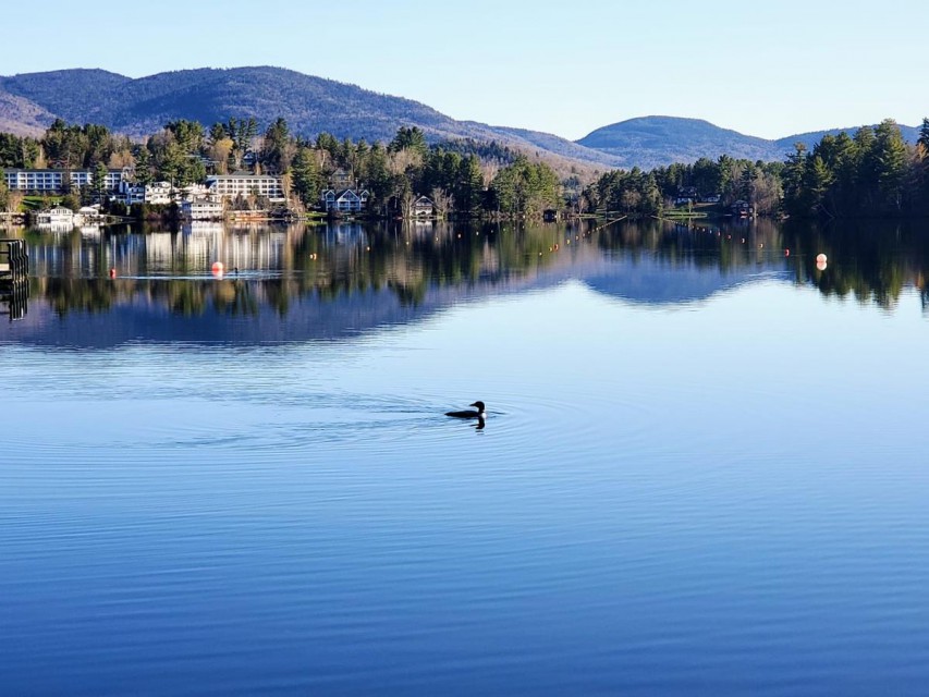 Mirror Lake and our local loon.