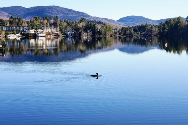 Mirror Lake and our local loon.