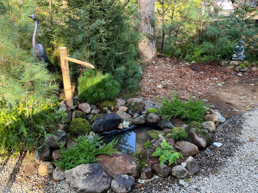 Zen Garden Pond