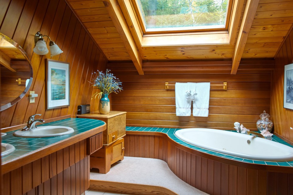 Master bath with jacuzzi, skylight and standing shower