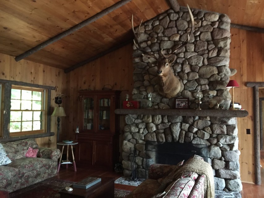 Cabin living room