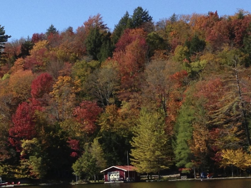 Camp view in the fall