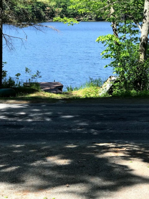View of lake while standing in driveway