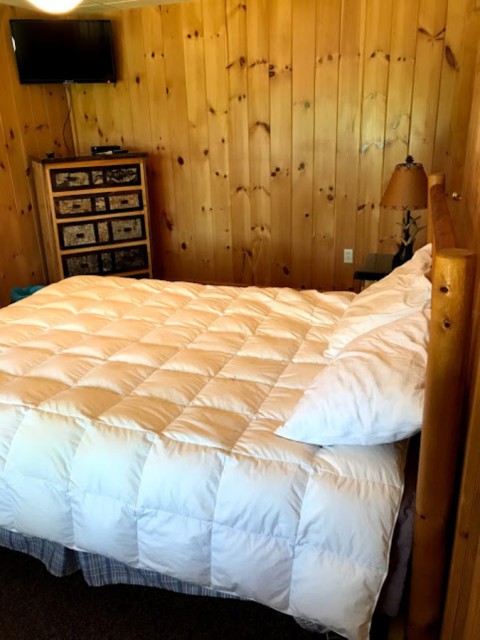 Bottom level bedroom - Queen bed