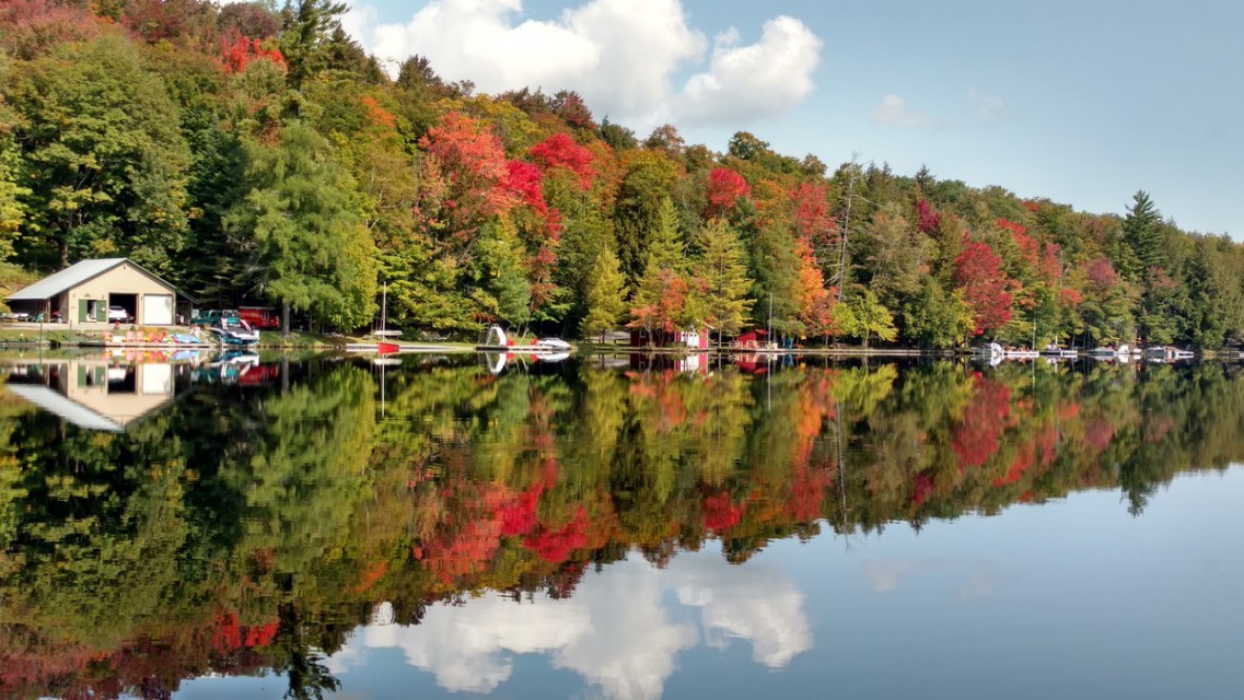 View the beautiful colors of the season from the cabin!