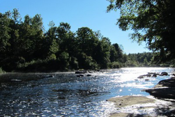 View upstream from river bank