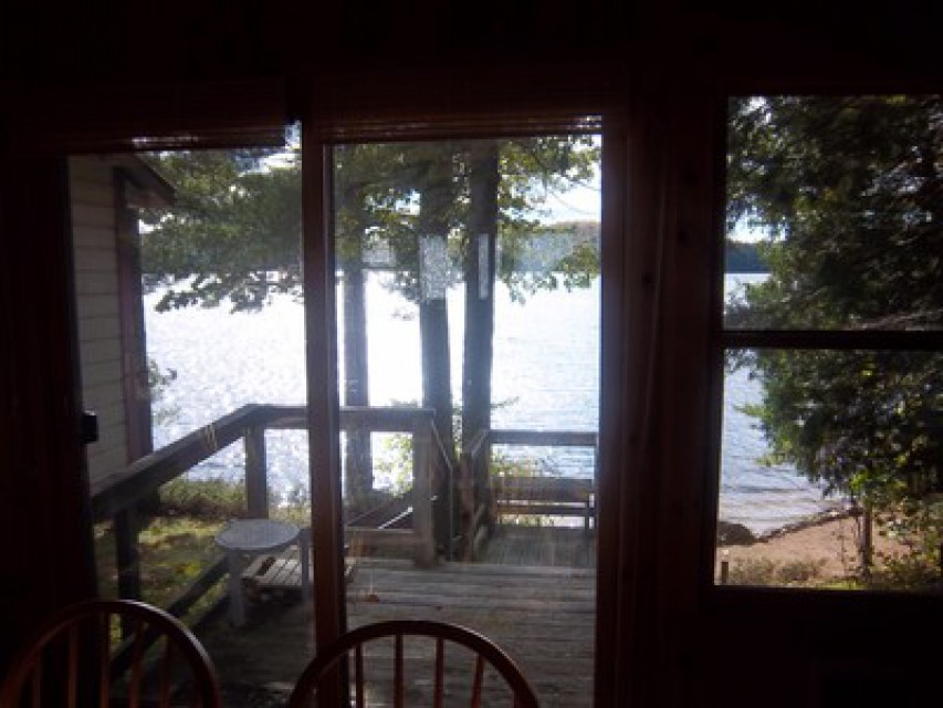 View from the dining room