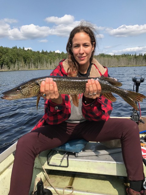 Great bass and northern pike fishing!