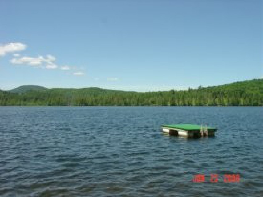 Swim up platform at the lake