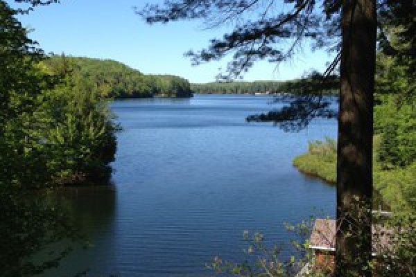 Overlooking White Lake and the Property