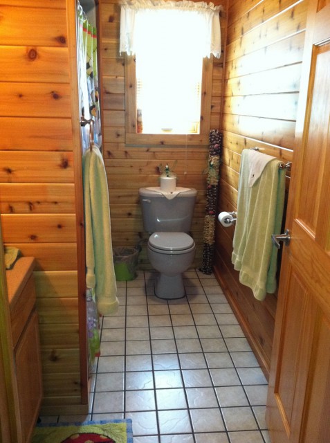 Oh, Can't forget a picture of the Immaculate Bathroom!