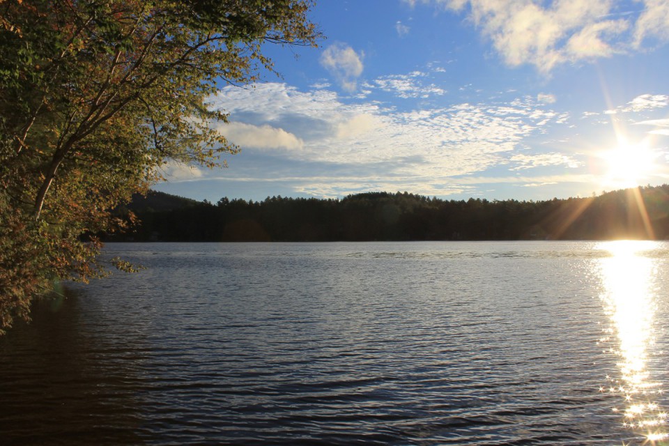 Loon Lake looking North from Birchwood