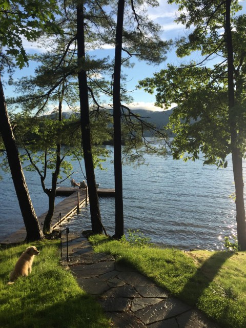 The dock from the cottage.